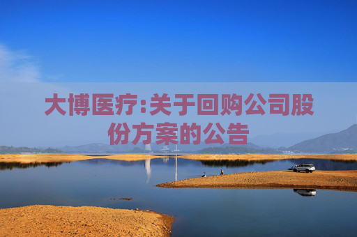 大博医疗:关于回购公司股份方案的公告