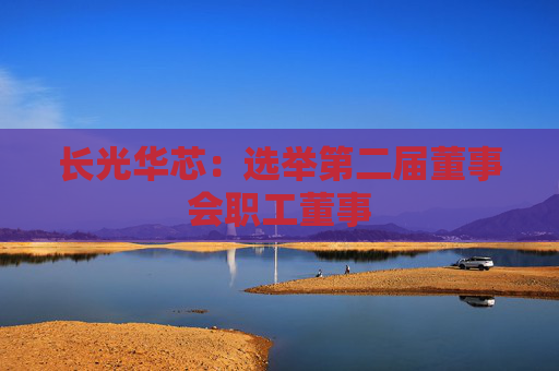 长光华芯：选举第二届董事会职工董事