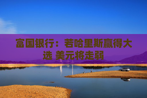 富国银行：若哈里斯赢得大选 美元将走弱