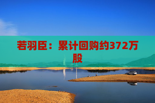 若羽臣：累计回购约372万股