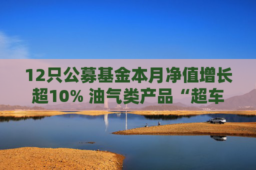 12只公募基金本月净值增长超10% 油气类产品“超车”创新药主题