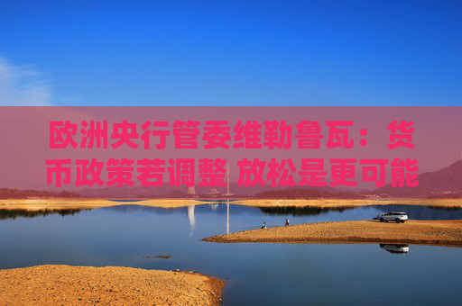 欧洲央行管委维勒鲁瓦:货币政策若调整 放松是更可能的方向
