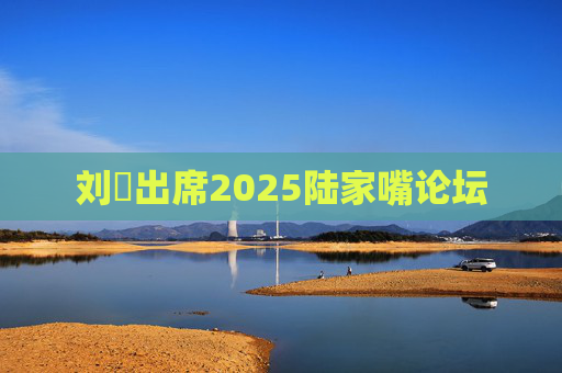 刘珺出席2025陆家嘴论坛