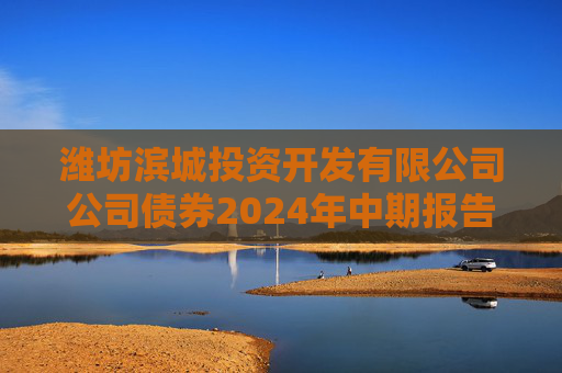 潍坊滨城投资开发有限公司公司债券2024年中期报告