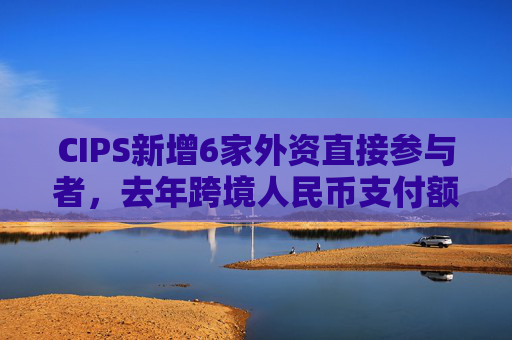 CIPS新增6家外资直接参与者，去年跨境人民币支付额同比增43%