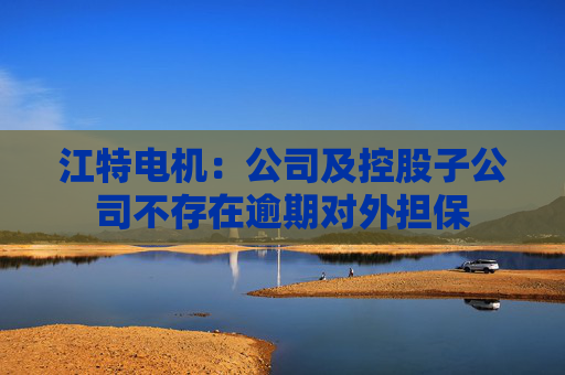 江特电机：公司及控股子公司不存在逾期对外担保