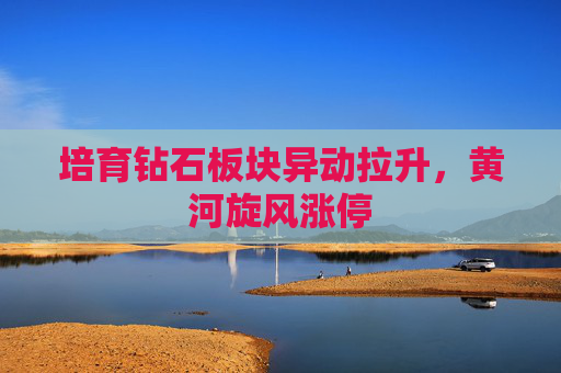 培育钻石板块异动拉升，黄河旋风涨停