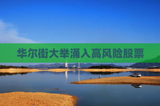 华尔街大举涌入高风险股票