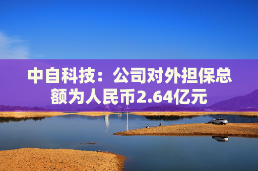 中自科技：公司对外担保总额为人民币2.64亿元