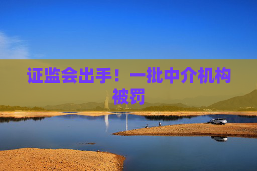 证监会出手！一批中介机构被罚