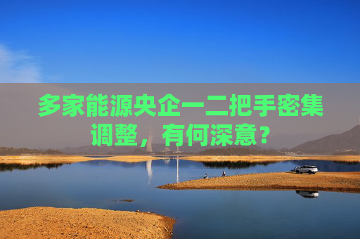 多家能源央企一二把手密集调整，有何深意？