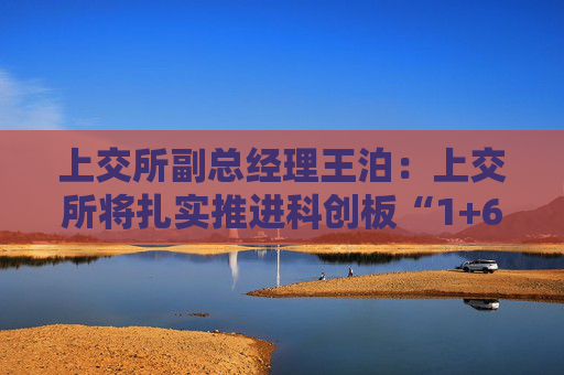 上交所副总经理王泊：上交所将扎实推进科创板“1+6”改革举措和示范案例落实落地