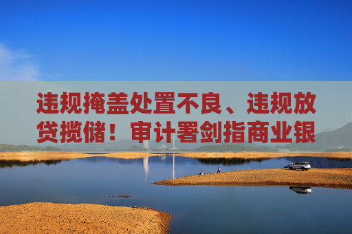 违规掩盖处置不良、违规放贷揽储！审计署剑指商业银行乱象