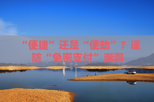 “便捷”还是“便劫”？谨防“免密支付”漏洞
