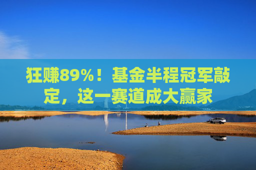 狂赚89%！基金半程冠军敲定，这一赛道成大赢家
