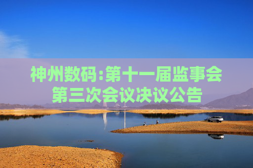 神州数码:第十一届监事会第三次会议决议公告