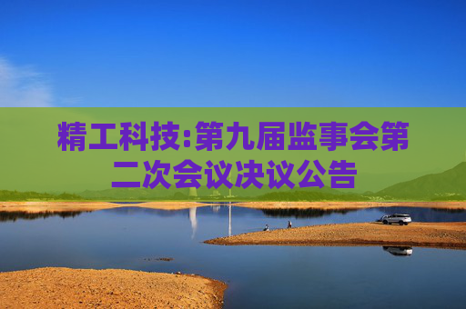 精工科技:第九届监事会第二次会议决议公告