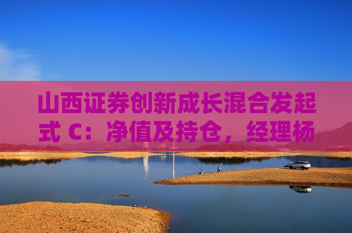山西证券创新成长混合发起式 C:净值及持仓,经理杨旭