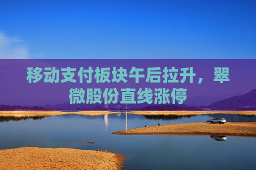 移动支付板块午后拉升，翠微股份直线涨停