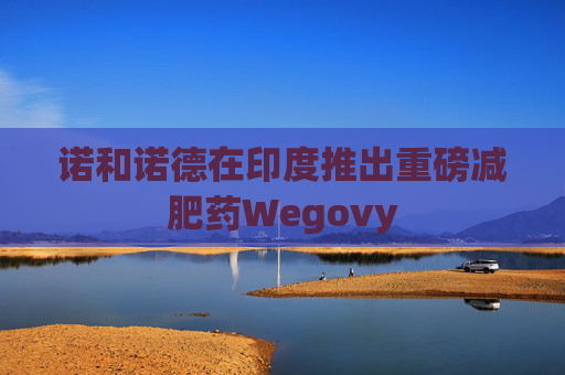 诺和诺德在印度推出重磅减肥药Wegovy