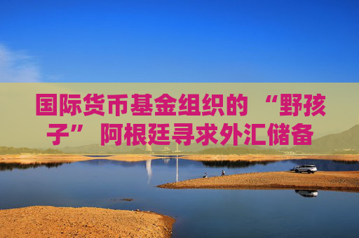 国际货币基金组织的 “野孩子” 阿根廷寻求外汇储备目标豁免
