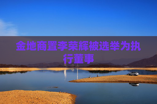 金地商置李荣辉被选举为执行董事