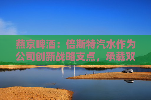 燕京啤酒：倍斯特汽水作为公司创新战略支点，承载双重使命