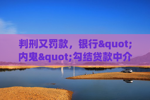 判刑又罚款，银行"内鬼"勾结贷款中介案遭重罚