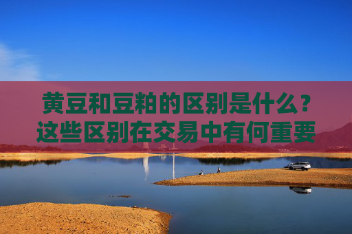 黄豆和豆粕的区别是什么？这些区别在交易中有何重要性？