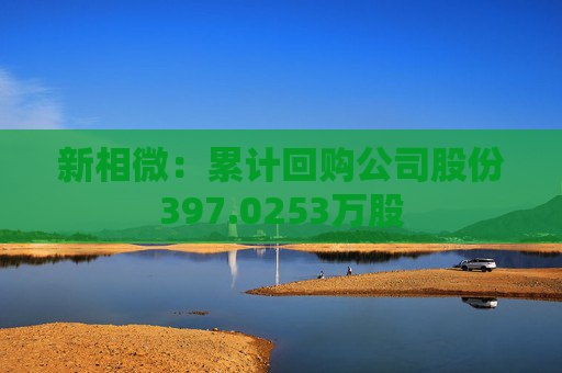 新相微：累计回购公司股份397.0253万股