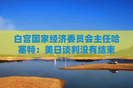 白宫国家经济委员会主任哈塞特：美日谈判没有结束