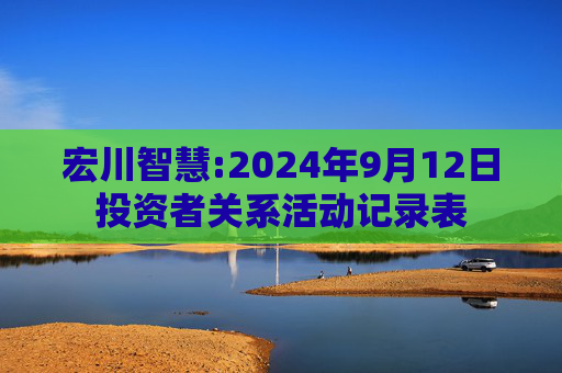 宏川智慧:2024年9月12日投资者关系活动记录表
