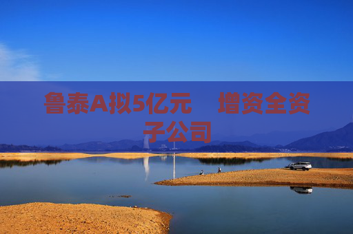 鲁泰A拟5亿元    增资全资子公司