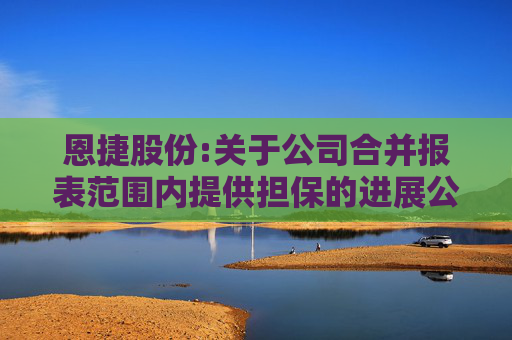恩捷股份:关于公司合并报表范围内提供担保的进展公告