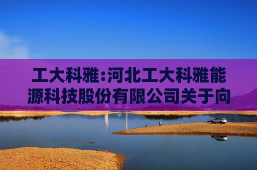 工大科雅:河北工大科雅能源科技股份有限公司关于向2024年限制性股票激励计划激励对象授予限制性股票的公告