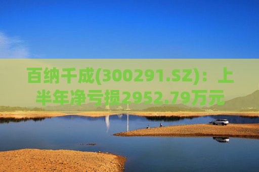 百纳千成(300291.SZ)：上半年净亏损2952.79万元