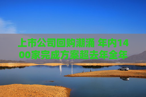 上市公司回购潮涌 年内1400家完成方案超去年全年