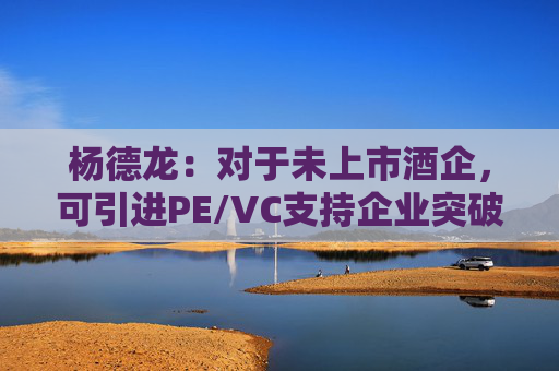 杨德龙：对于未上市酒企，可引进PE/VC支持企业突破难关