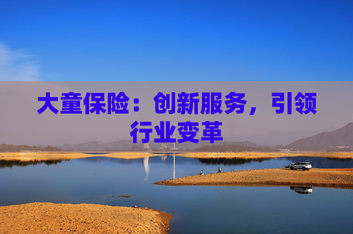 大童保险：创新服务，引领行业变革