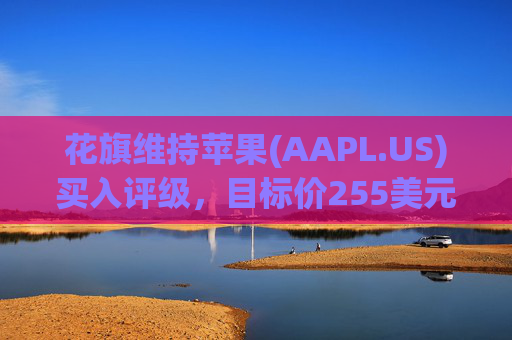 花旗维持苹果(AAPL.US)买入评级，目标价255美元