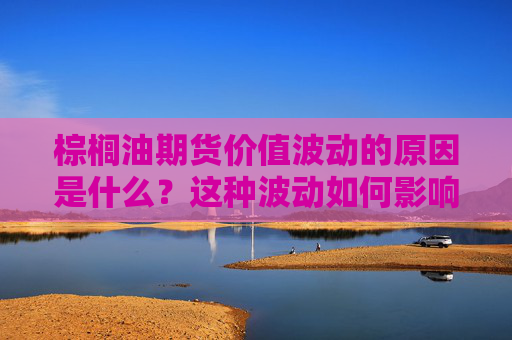 棕榈油期货价值波动的原因是什么？这种波动如何影响市场供需？