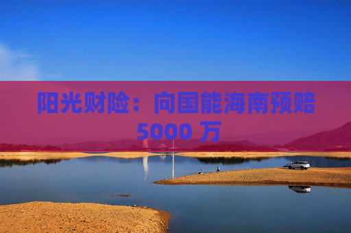 阳光财险：向国能海南预赔 5000 万