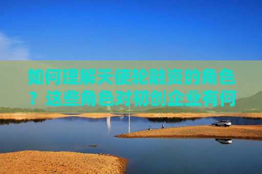 如何理解天使轮融资的角色？这些角色对初创企业有何影响？