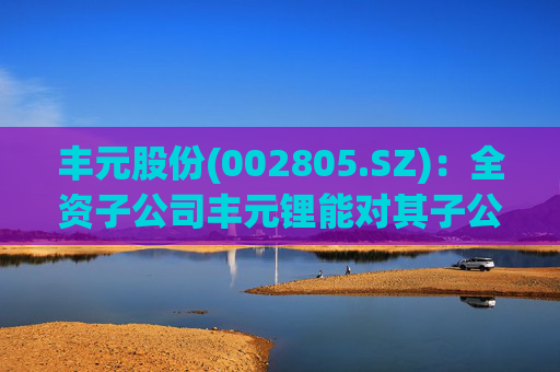 丰元股份(002805.SZ)：全资子公司丰元锂能对其子公司丰元云南增资3亿元