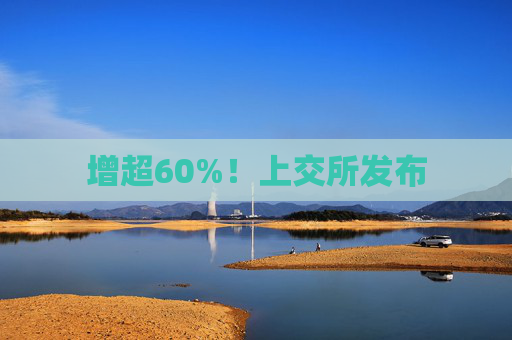 增超60%！上交所发布
