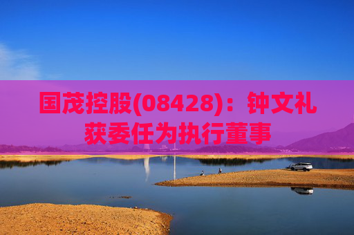 国茂控股(08428)：钟文礼获委任为执行董事