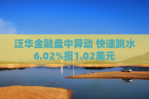 泛华金融盘中异动 快速跳水6.02%报1.02美元