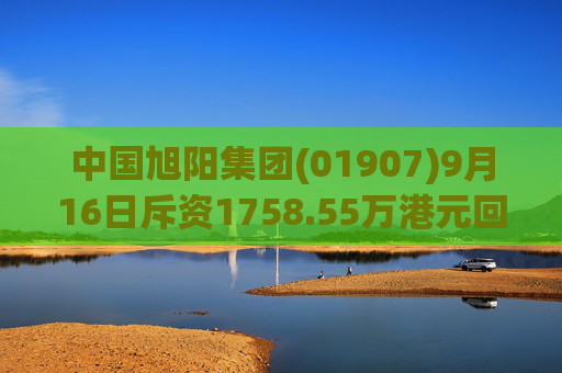 中国旭阳集团(01907)9月16日斥资1758.55万港元回购595.1万股