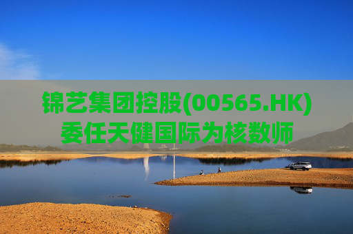 锦艺集团控股(00565.HK)委任天健国际为核数师