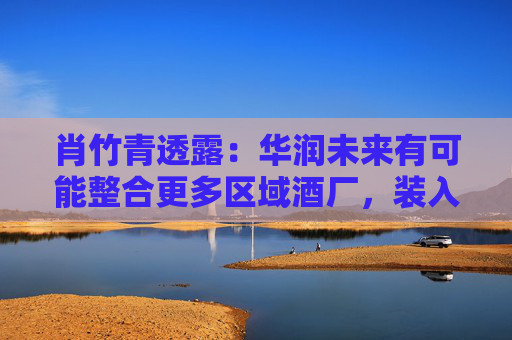 肖竹青透露：华润未来有可能整合更多区域酒厂，装入金种子上市公司平台